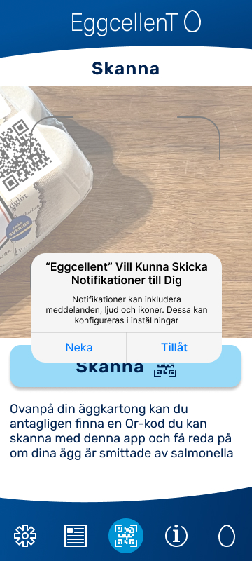 Eggcellent Scan 2 Screen