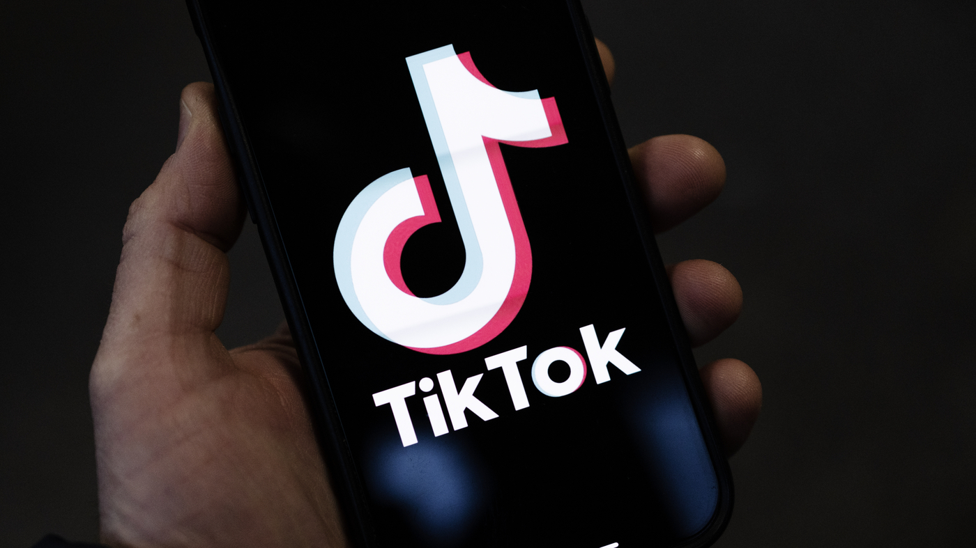 TikTok Case Study Main