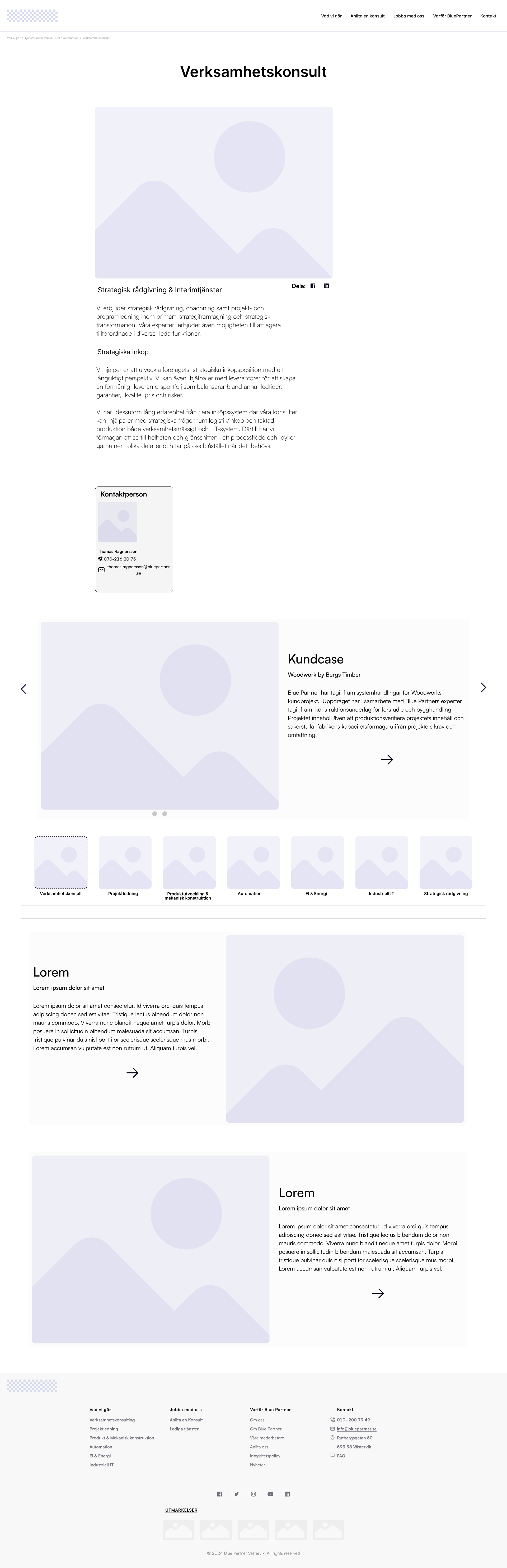 Bluepartner Consultant Page Wireframe
