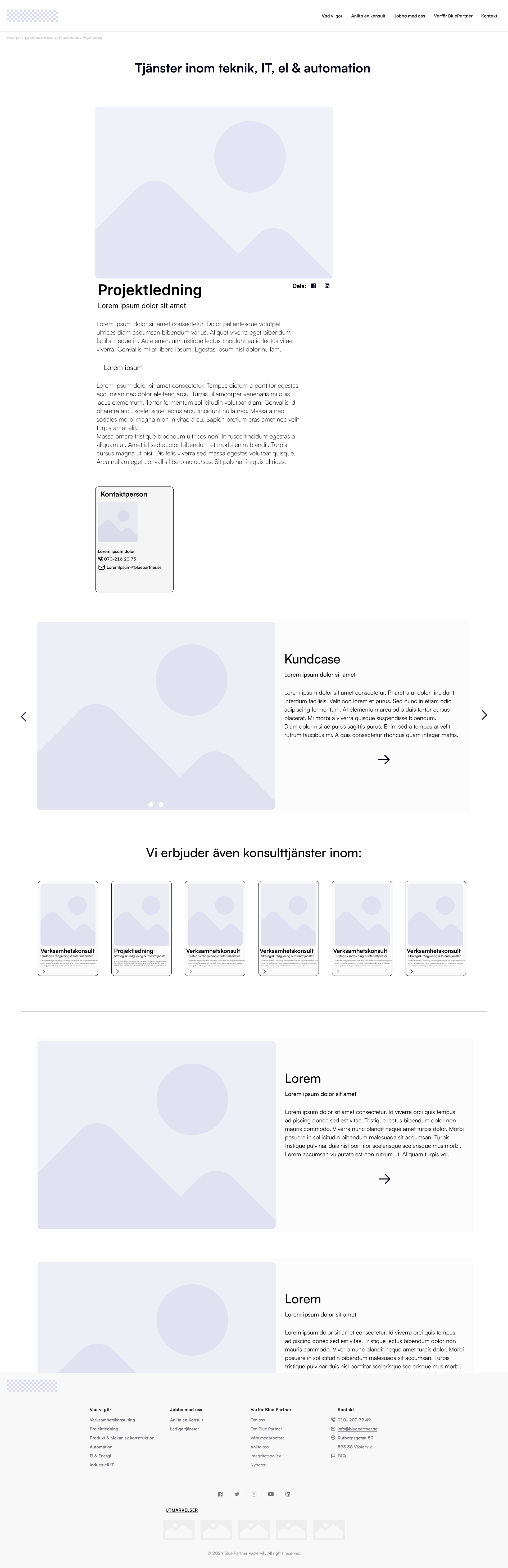 Bluepartner Project Management Page Wireframe