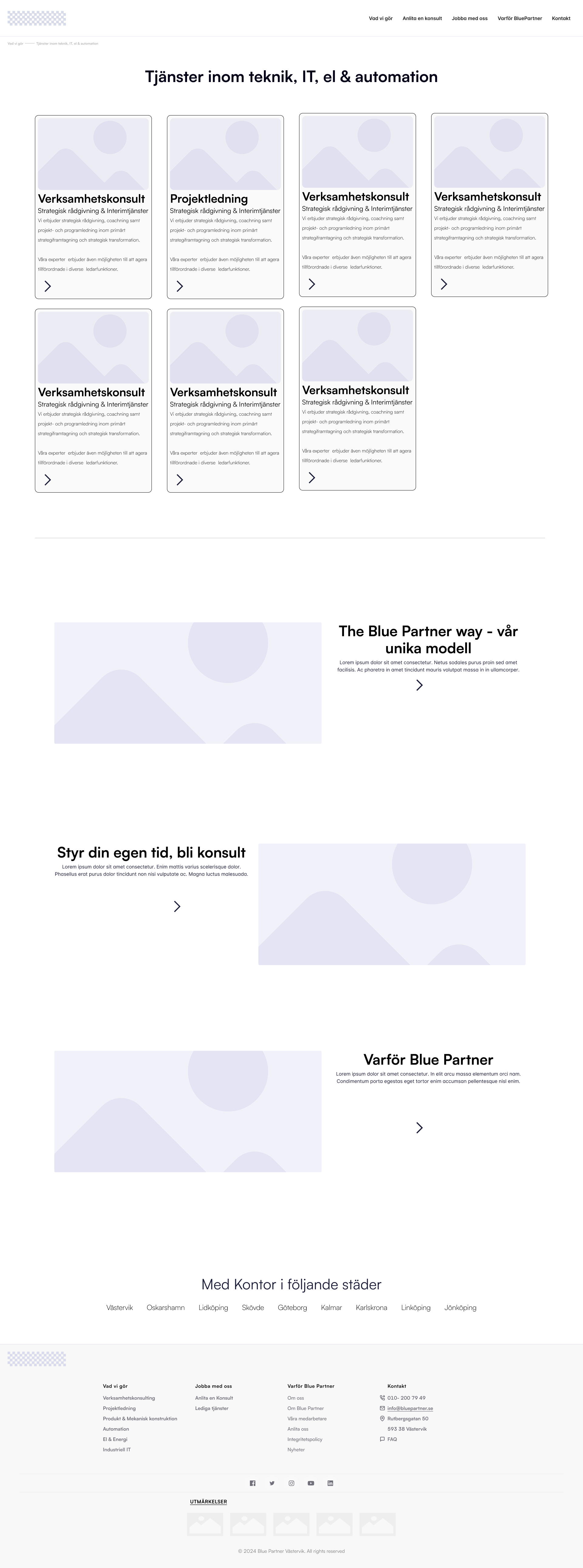 Bluepartner Services Page Wireframe